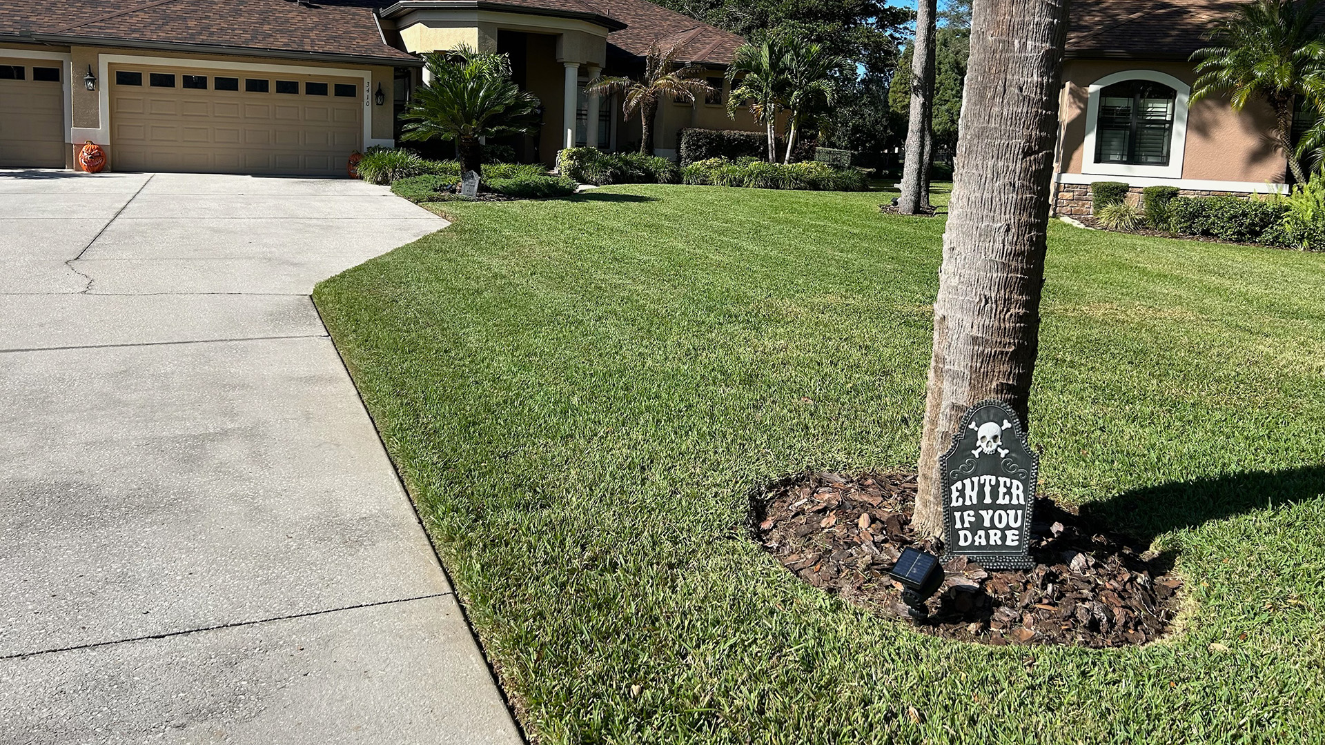 Riverview, Florida Lawn Care Services